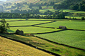 Swaledale; England, fields near Gunnister - Champs près Gunniste 12816