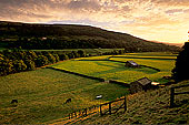 Swaledale; England, fields near Gunnister - Champs près Gunniste 12818 Swaledale; England, fields near Gunnister - Champs près Gunniste 12818