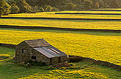 Swaledale; England, fields near Gunnister - Champs près Gunniste 12822