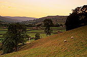 Swaledale; England, fields near Gunnister - Champs près Gunniste 12826