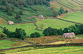 Swaledale (upper), Yorkshire NP, England -  Vallée de Swaledale 12830
