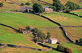 Arkengarthdale, farm, Yorkshire Dales NP, England - Ferme, Arkengarthdale  12844