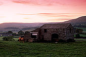 Wensleydale, Barn at sunset, Yorkshire Dales NP, England - Grange au couchant   12876