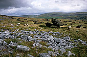 Norber erratics, Yorkshire NP, England - Erosion karstique   12894