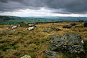 Norber erratics, Yorkshire NP, England - Erosion karstique   12905