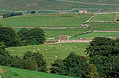 Malham typical landscape, Yorkshire NP, England -  Près de Malham  12911