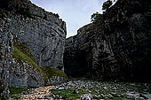 Malham Gordal Scar, Yorkshire NP, England -  Erosion karstique 12920