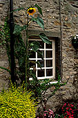 House, Yorkshire Dales NP, England - Maison, Yorkshire Dales  12925