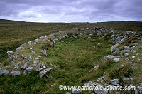Stanydale Neolithic house site, Shetland -  Maison néolithique à Stanydale 13009