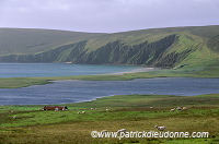 Papil Water and Tresta Wick, Fetlar, Shetland -  La baie de Tresta, Fetlar 13072