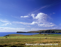 Looking towards lamb Hoga, Fetlar, Shetland - Vue vers Lamb Hoga  13089