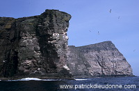 Noss National Nature Reserve, Shetland - Reserve nationale de Noss  13226