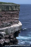 Noss National Nature Reserve, Shetland - Reserve nationale de Noss  13235