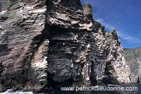 Noss National Nature Reserve, Shetland - Reserve nationale de Noss 13238 Noss National Nature Reserve, Shetland - Reserve nationale de Noss 13238