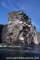 Noss National Nature Reserve, Shetland - Reserve nationale de Noss 13239 Noss National Nature Reserve, Shetland - Reserve nationale de Noss 13239