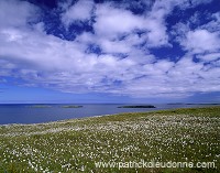 Whalsay island, Shetland - Ile de Whalsay, Shetland  13217