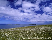 Whalsay island, Shetland - Ile de Whalsay, Shetland 13217 Whalsay island, Shetland - Ile de Whalsay, Shetland 13217