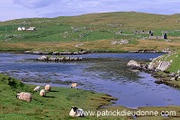 Tranquil scene, Lunna Ness, North Mainland, Shetland - Lunna Ness  13338