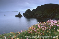 West Mainland coast, with boat and thrift, Shetland - Côte près de Westerwick  13448