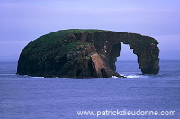 Eshaness, Dore Holm natural arch, Shetland -  Arche naturelle de Dore Holm  13609