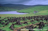 Northmavine: peat drying, Shetland - Tourbe séchant, Shetland  13614