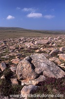 Northmavine: Ronas Hill (450 m), Shetland - Ronas Hill, 450 m  13628