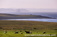 The Drongs, Northmavine, Shetland, Scotland  -  Les Drongs, Shetland  13649