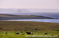 The Drongs, Northmavine, Shetland, Scotland - Les Drongs, Shetland 13649 The Drongs, Northmavine, Shetland, Scotland - Les Drongs, Shetland 13649