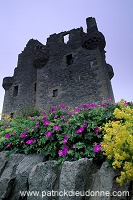 Scalloway castle, Shetland - Le château de Scalloway, Shetland 13669