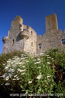 Scalloway castle, Shetland - Le château de Scalloway, Shetland 13672