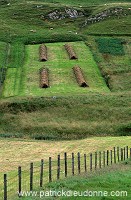 Crofting system, Shetland -  Cultures traditionnelles, Shetland 13924