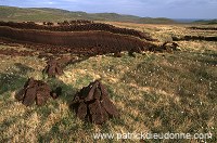 Peat cutting, Shetland, Scotland - Récolte de la tourbe dans les Shetland  13930