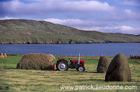 Crofting land, Northmavine, Shetland - Terres agricoles sur Northmavine  13956