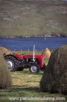 Crofting land, Northmavine, Shetland - Terres agricoles sur Northmavine  13958
