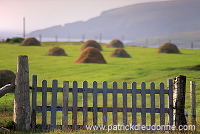 Crofting system, Unst, Shetland - Cultures traditionnelles sur Unst  13976