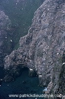 Hermaness Nature Reserve, Unst, Shetland - Hermaness, Shetland 13993