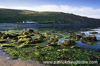 Norwick Beach and house, Unst, Shetland - Plage de Norwick, Unst 14056 Norwick Beach and house, Unst, Shetland - Plage de Norwick, Unst 14056