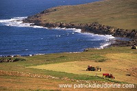 Crofting Scene at Hagdale, Unst, Shetland - Scene rurale à Hagdale 14070 Crofting Scene at Hagdale, Unst, Shetland - Scene rurale à Hagdale 14070
