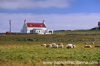 Crofting system, Unst, Shetland - Cultures traditionnelles sur Unst 14082 Crofting system, Unst, Shetland - Cultures traditionnelles sur Unst 14082