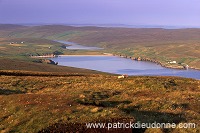 Burra Firth and sheep, Unst, Shetland - Baie de Burra Firth et moutons  14096