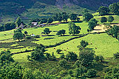 Keskadale valley, Lake District, England - Keskadale, Angleterre   14177