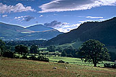Valley in the Lake District, England - Vallée, Région des Lacs, Angleterre  14221