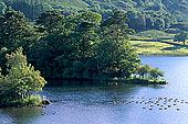 Rydal Water, Lake District, England - Rydal Water, Région des Lacs, Angleterre  14216