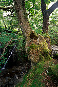 lake district026 lake district026