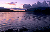 Derwent Water lake, Lake District, England - Derwent Water, Angleterre 14214