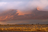 Red sand dunes, Sossusvlei, Namibia - Dunes, desert du Namib 14288