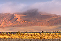 Red sand dunes, Sossusvlei, Namibia - Dunes, desert du Namib 14291