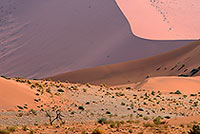 Red sand dunes, Sossusvlei, Namibia - Dunes, desert du Namib 14292