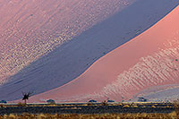 Red sand dunes, Sossusvlei, Namibia - Dunes, desert du Namib 14294 Red sand dunes, Sossusvlei, Namibia - Dunes, desert du Namib 14294
