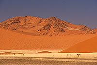 Red sand dunes, Sossusvlei, Namibia - Dunes, desert du Namib 14300